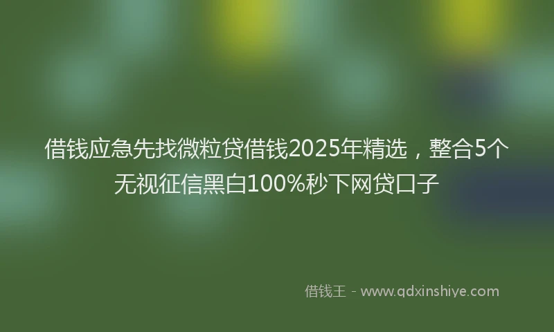 借钱应急先找微粒贷借钱2025年精选，整合5个无视征信黑白100%秒下网贷口子