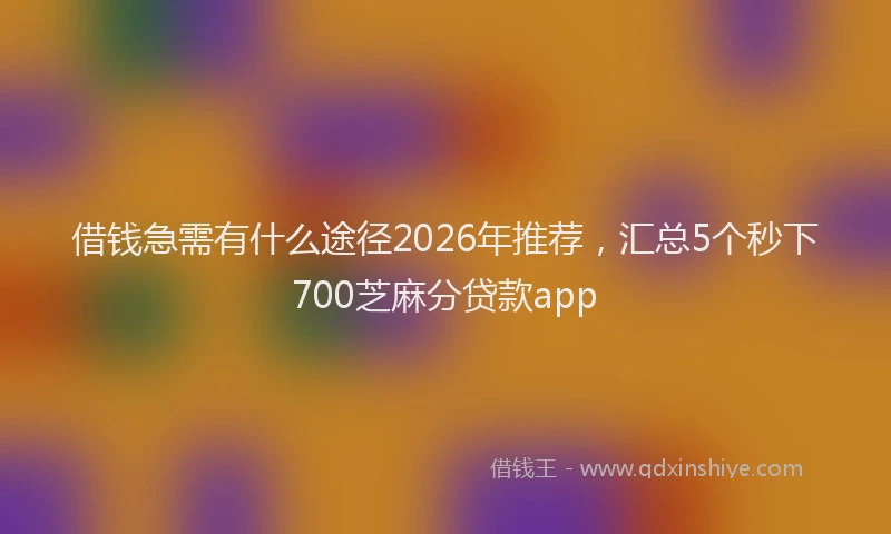 借钱急需有什么途径2026年推荐，汇总5个秒下700芝麻分贷款app