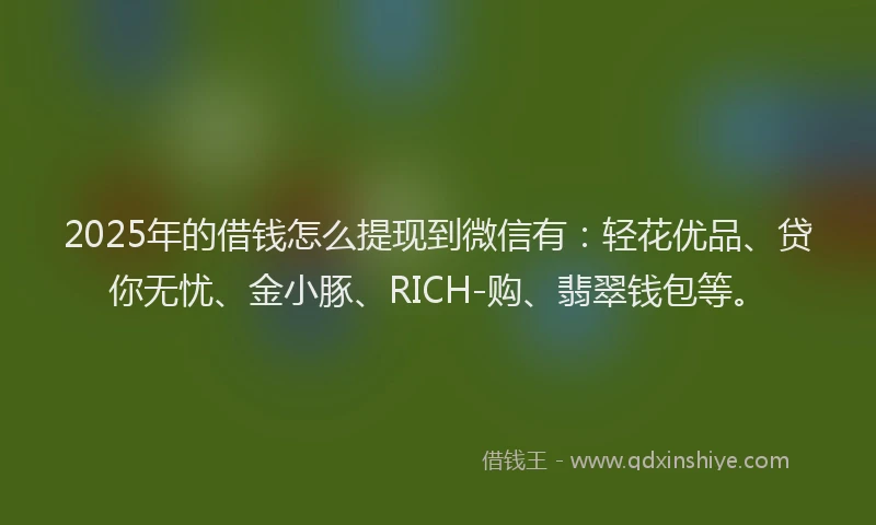 2025年的借钱怎么提现到微信有：轻花优品、贷你无忧、金小豚、RICH-购、翡翠钱包等。