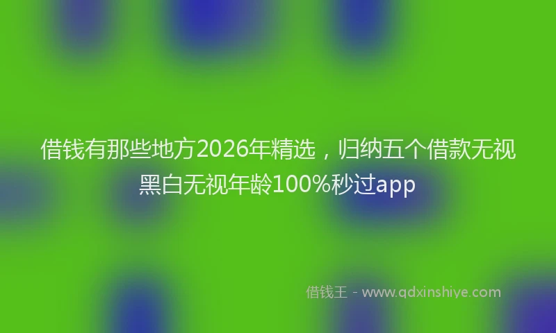 借钱有那些地方2026年精选，归纳五个借款无视黑白无视年龄100%秒过app