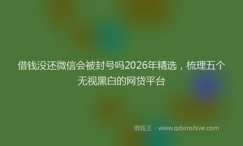 借钱没还微信会被封号吗2026年精选，梳理五个无视黑白的网贷平台