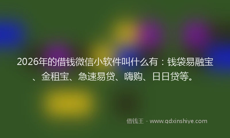 2026年的借钱微信小软件叫什么有:钱袋易融宝、金租宝、急速易贷、嗨购、日日贷等。