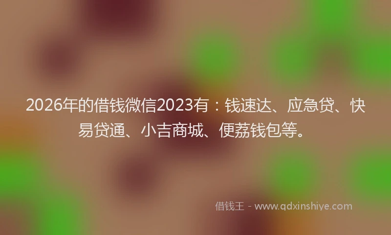 2026年的借钱微信2023有：钱速达、应急贷、快易贷通、小吉商城、便荔钱包等。