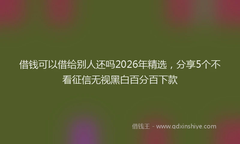 借钱可以借给别人还吗2026年精选，分享5个不看征信无视黑白百分百下款