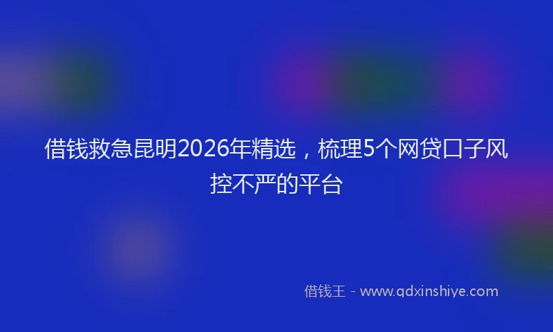 借钱救急昆明2026年精选，梳理5个网贷口子风控不严的平台