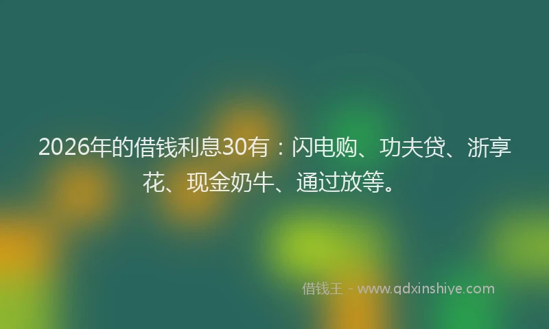 2026年的借钱利息30有：闪电购、功夫贷、浙享花、现金奶牛、通过放等。