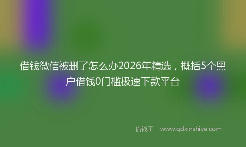借钱微信被删了怎么办2026年精选，概括5个黑户借钱0门槛极速下款平台
