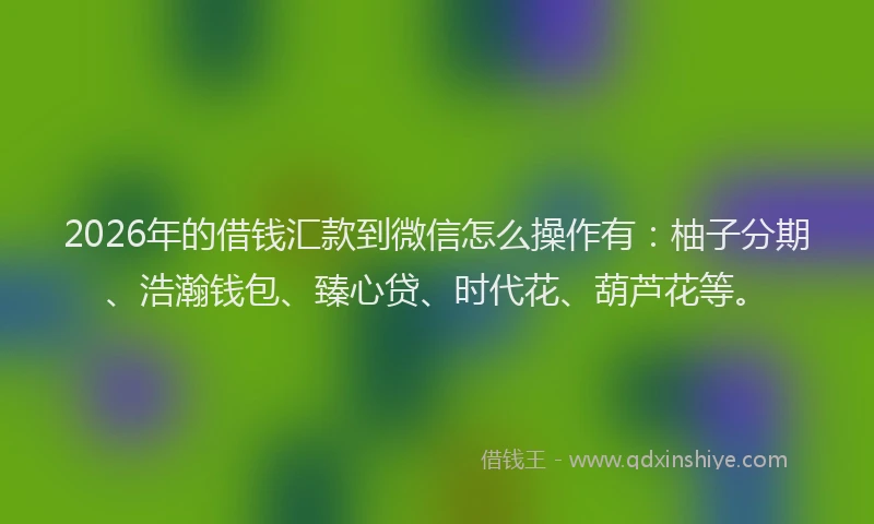 2026年的借钱汇款到微信怎么操作有：柚子分期、浩瀚钱包、臻心贷、时代花、葫芦花等。