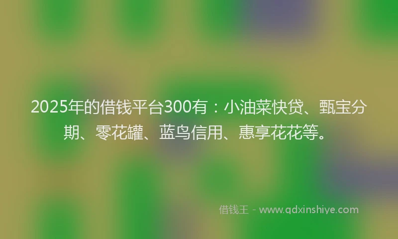 2025年的借钱平台300有：小油菜快贷、甄宝分期、零花罐、蓝鸟信用、惠享花花等。