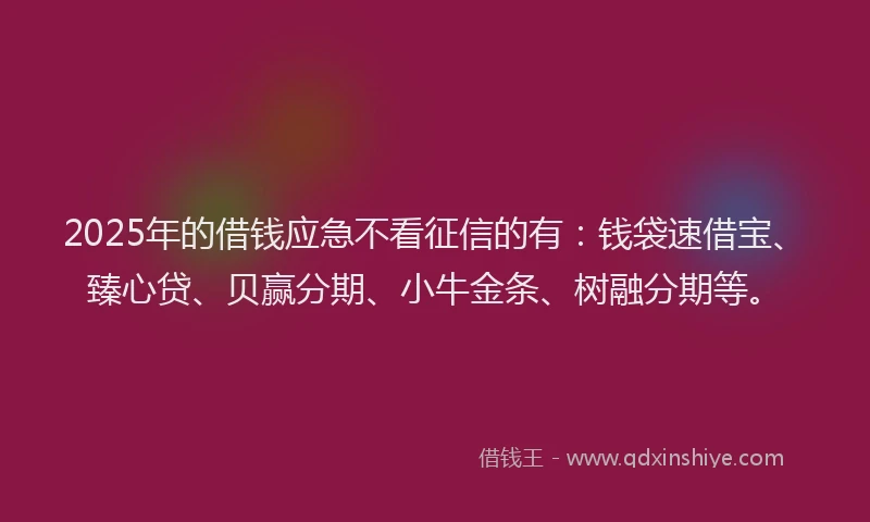 2025年的借钱应急不看征信的有：钱袋速借宝、臻心贷、贝赢分期、小牛金条、树融分期等。