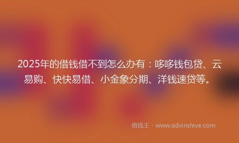2025年的借钱借不到怎么办有：哆哆钱包贷、云易购、快快易借、小金象分期、洋钱速贷等。