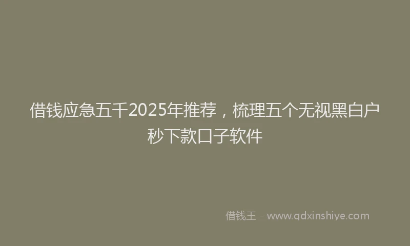 借钱应急五千2025年推荐，梳理五个无视黑白户秒下款口子软件