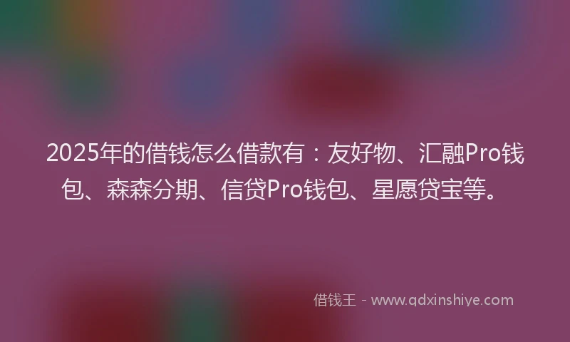2025年的借钱怎么借款有：友好物、汇融Pro钱包、森森分期、信贷Pro钱包、星愿贷宝等。