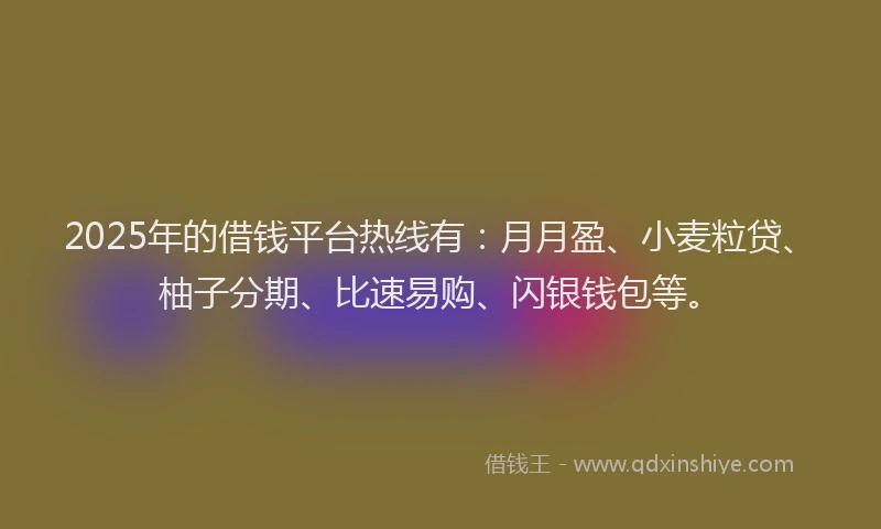2025年的借钱平台热线有：月月盈、小麦粒贷、柚子分期、比速易购、闪银钱包等。