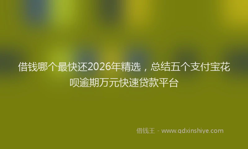 借钱哪个最快还2026年精选，总结五个支付宝花呗逾期万元快速贷款平台
