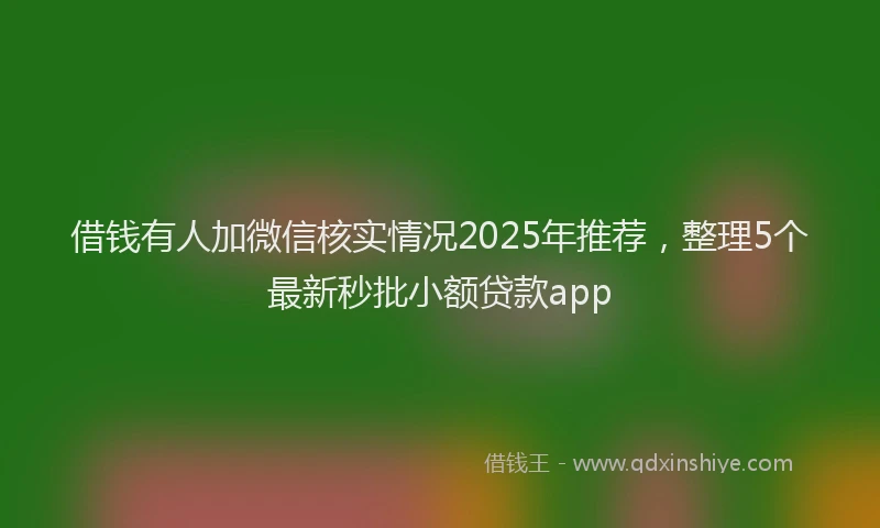 借钱有人加微信核实情况2025年推荐，整理5个最新秒批小额贷款app