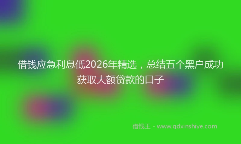 借钱应急利息低2026年精选，总结五个黑户成功获取大额贷款的口子