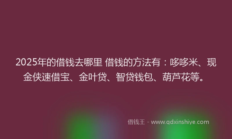 2025年的借钱去哪里 借钱的方法有：哆哆米、现金侠速借宝、金叶贷、智贷钱包、葫芦花等。