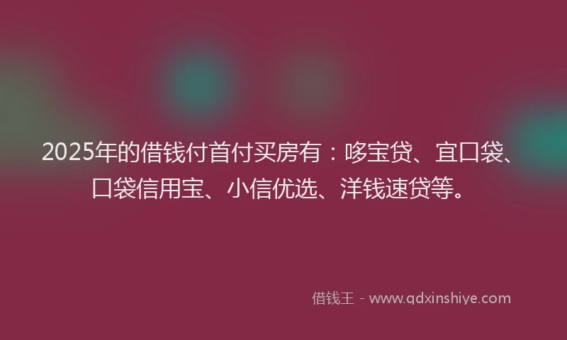 2025年的借钱付首付买房有:哆宝贷、宜口袋、口袋信用宝、小信优选、洋钱速贷等。
