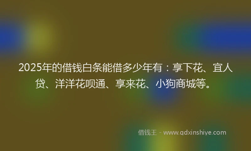 2025年的借钱白条能借多少年有：享下花、宜人贷、洋洋花呗通、享来花、小狗商城等。