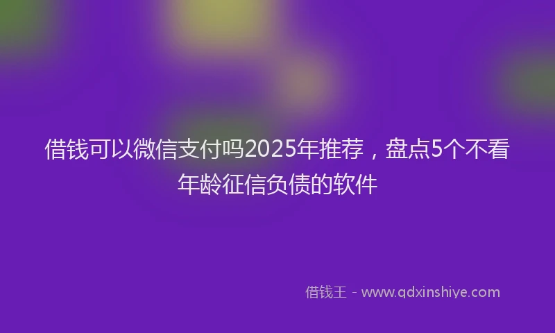 借钱可以微信支付吗2025年推荐，盘点5个不看年龄征信负债的软件