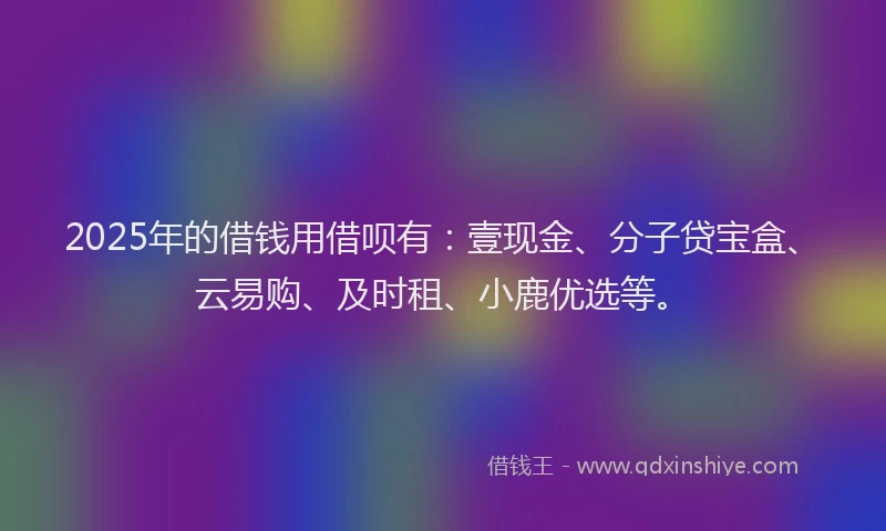 2025年的借钱用借呗有：壹现金、分子贷宝盒、云易购、及时租、小鹿优选等。