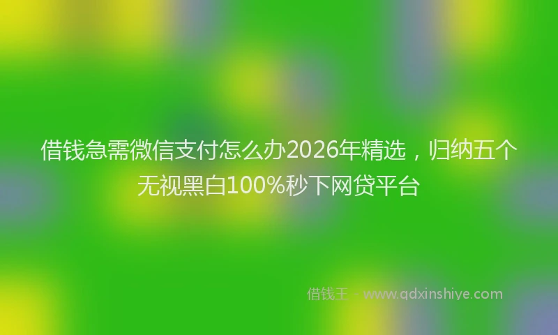 借钱急需微信支付怎么办2026年精选，归纳五个无视黑白100%秒下网贷平台