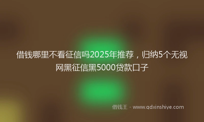 借钱哪里不看征信吗2025年推荐，归纳5个无视网黑征信黑5000贷款口子