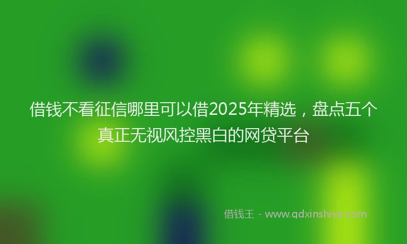 借钱不看征信哪里可以借2025年精选,盘点五个真正无视风控黑白的网贷平台