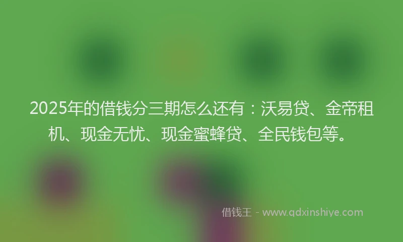 2025年的借钱分三期怎么还有：沃易贷、金帝租机、现金无忧、现金蜜蜂贷、全民钱包等。