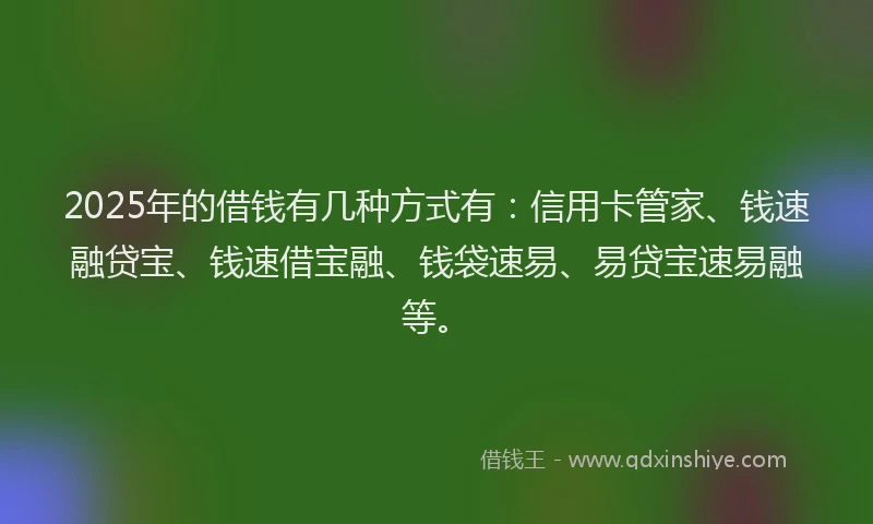 2025年的借钱有几种方式有：信用卡管家、钱速融贷宝、钱速借宝融、钱袋速易、易贷宝速易融等。