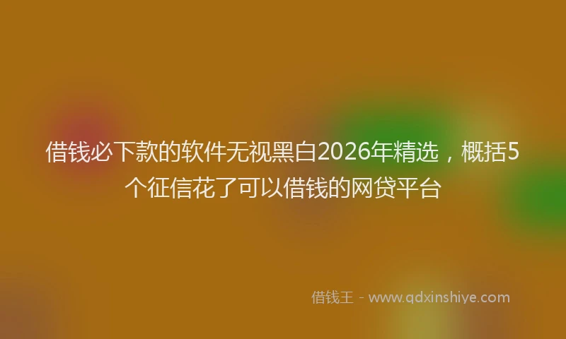 借钱必下款的软件无视黑白2026年精选，概括5个征信花了可以借钱的网贷平台