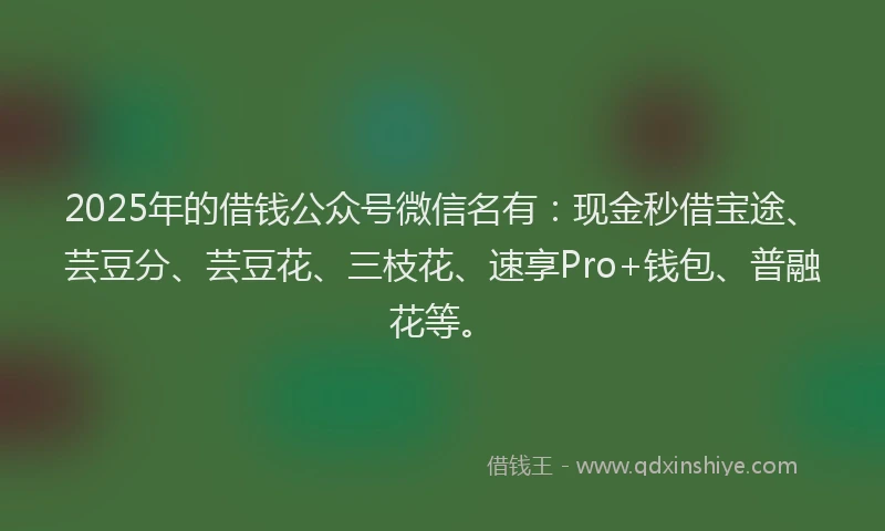 2025年的借钱公众号微信名有：现金秒借宝途、芸豆分、芸豆花、三枝花、速享Pro+钱包、普融花等。