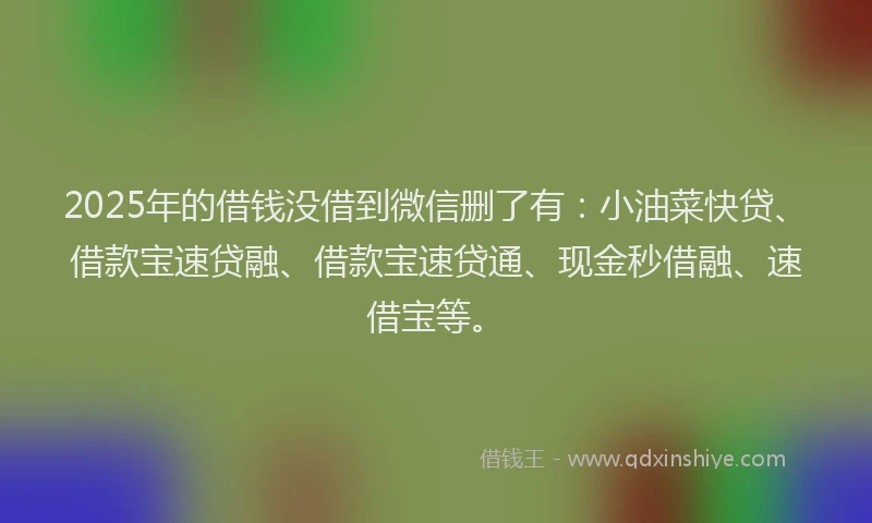 2025年的借钱没借到微信删了有：小油菜快贷、借款宝速贷融、借款宝速贷通、现金秒借融、速借宝等。