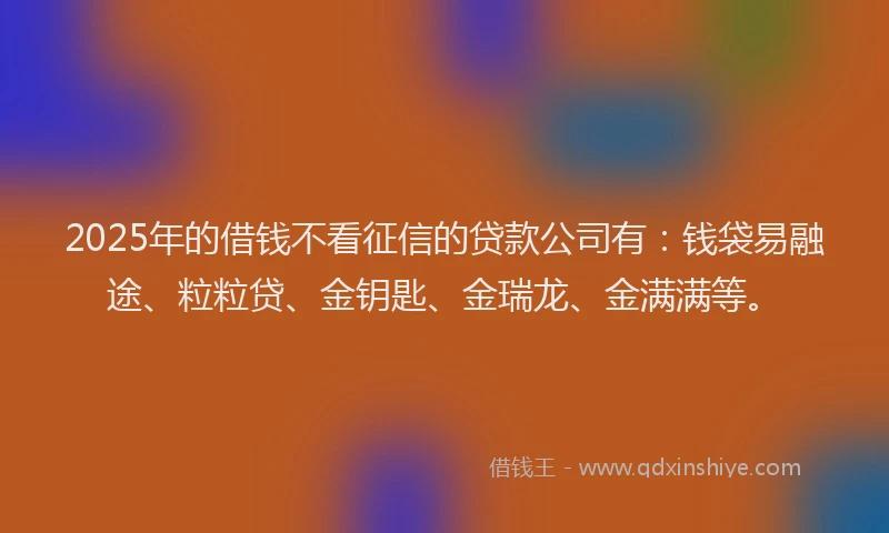 2025年的借钱不看征信的贷款公司有：钱袋易融途、粒粒贷、金钥匙、金瑞龙、金满满等。