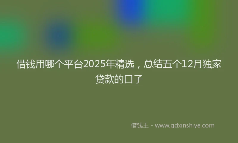 借钱用哪个平台2025年精选，总结五个12月独家贷款的口子