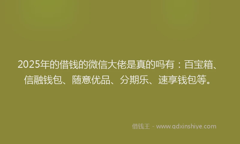 2025年的借钱的微信大佬是真的吗有：百宝箱、信融钱包、随意优品、分期乐、速享钱包等。