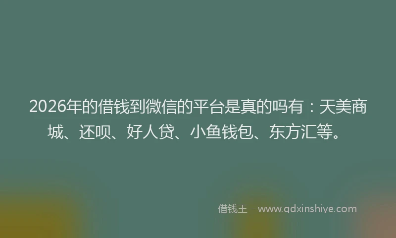 2026年的借钱到微信的平台是真的吗有：天美商城、还呗、好人贷、小鱼钱包、东方汇等。
