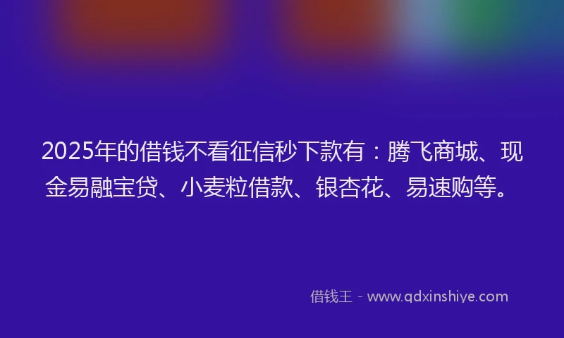 2025年的借钱不看征信秒下款有：腾飞商城、现金易融宝贷、小麦粒借款、银杏花、易速购等。
