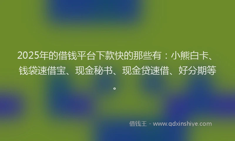 2025年的借钱平台下款快的那些有：小熊白卡、钱袋速借宝、现金秘书、现金贷速借、好分期等。