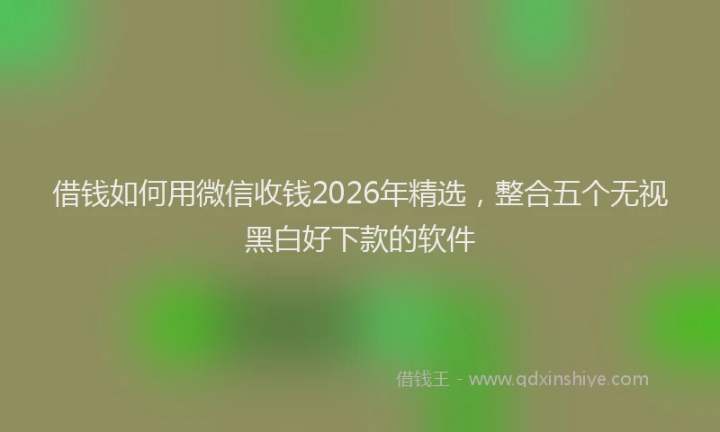借钱如何用微信收钱2026年精选，整合五个无视黑白好下款的软件