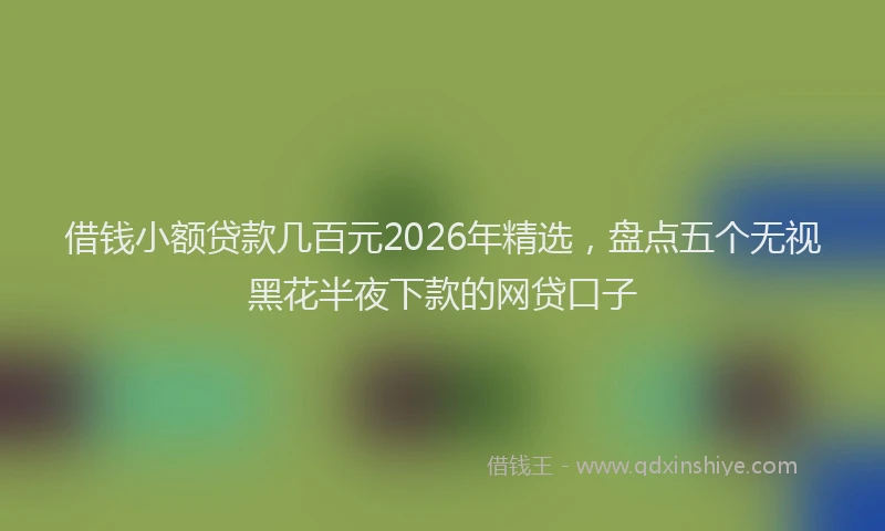 借钱小额贷款几百元2026年精选，盘点五个无视黑花半夜下款的网贷口子