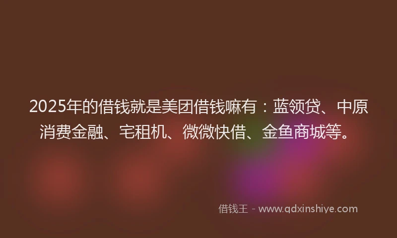 2025年的借钱就是美团借钱嘛有：蓝领贷、中原消费金融、宅租机、微微快借、金鱼商城等。