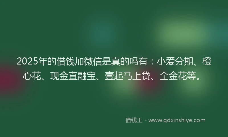 2025年的借钱加微信是真的吗有:小爱分期、橙心花、现金直融宝、壹起马上贷、全金花等。
