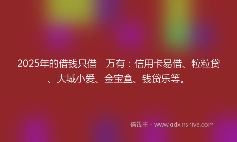 2025年的借钱只借一万有:信用卡易借、粒粒贷、大城小爱、金宝盒、钱贷乐等。