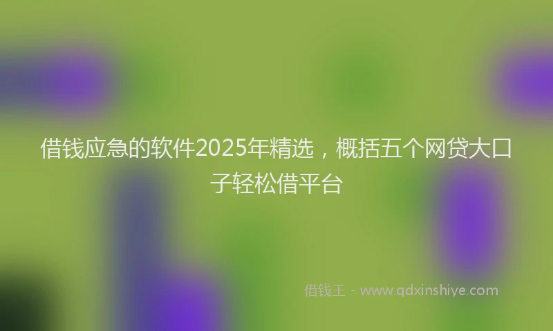 借钱应急的软件2025年精选，概括五个网贷大口子轻松借平台