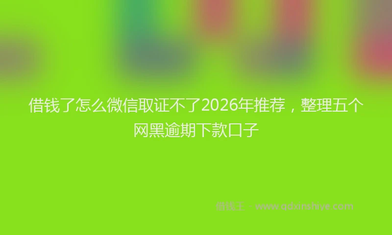 借钱了怎么微信取证不了2026年推荐，整理五个网黑逾期下款口子