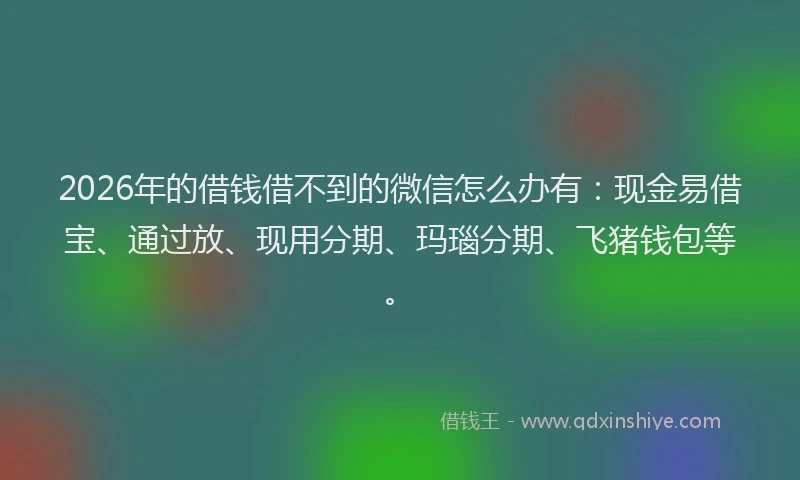 2026年的借钱借不到的微信怎么办有：现金易借宝、通过放、现用分期、玛瑙分期、飞猪钱包等。