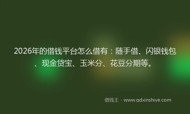 2026年的借钱平台怎么借有:随手借、闪银钱包、现金贷宝、玉米分、花豆分期等。