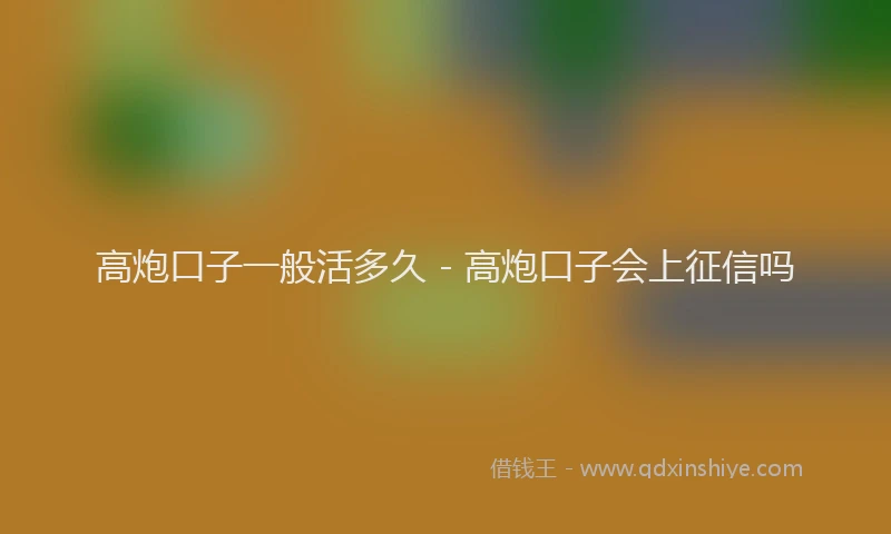 高炮口子一般活多久 - 高炮口子会上征信吗